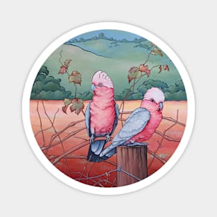 Chilled Rosé - Galahs Magnet